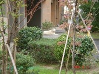 f:id:akamac:20081011141724j:image