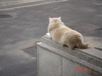 f:id:akamac:20081011141933j:image