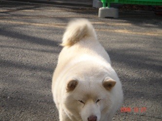 f:id:akamac:20081227132051j:image