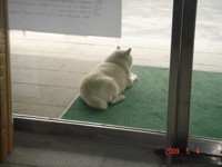 20090504151009