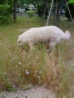 f:id:akamac:20090516165605j:image f:id:akamac:20090516165605j:image