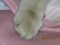 20090603185441