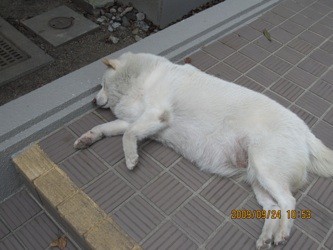 f:id:akamac:20090924105306j:image