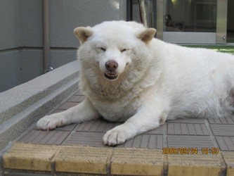 f:id:akamac:20090924105344j:image