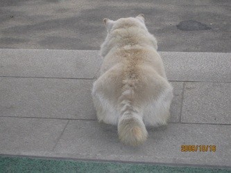 f:id:akamac:20091016161334j:image