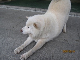 f:id:akamac:20091016161447j:image