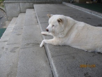 f:id:akamac:20091125130034j:image