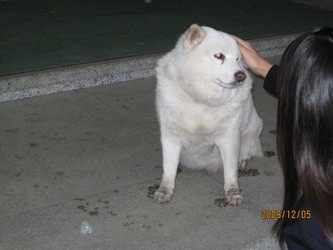 f:id:akamac:20091205161137j:image