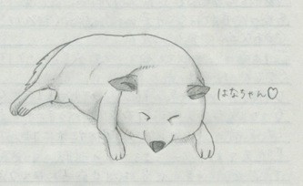 f:id:akamac:20091212164707j:image