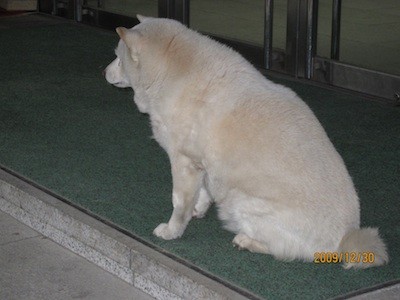 f:id:akamac:20091230140424j:image