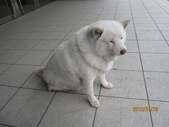 f:id:akamac:20100128142450j:image