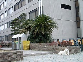 f:id:akamac:20100207220323j:image