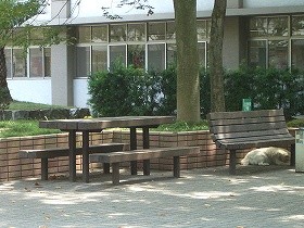 f:id:akamac:20100207220358j:image
