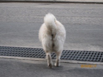 f:id:akamac:20100217170157j:image