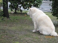 f:id:akamac:20100313111812j:image