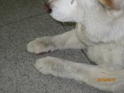 f:id:akamac:20100507144432j:image