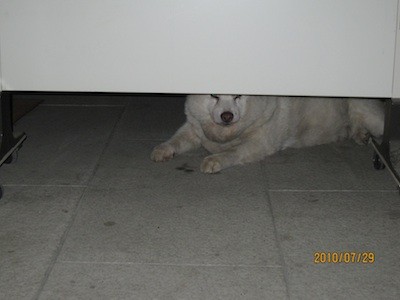 f:id:akamac:20100729191838j:image