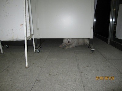 f:id:akamac:20100729191859j:image