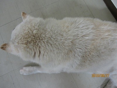 f:id:akamac:20100927190103j:image
