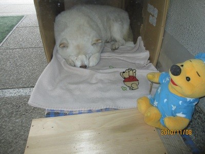 f:id:akamac:20101108150612j:image f:id:akamac:20101108150612j:image