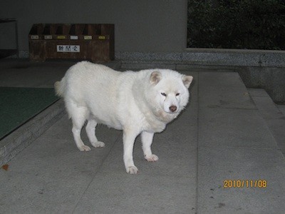 f:id:akamac:20101108170312j:image f:id:akamac:20101108170312j:image