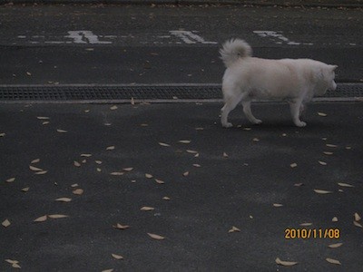 f:id:akamac:20101108170350j:image f:id:akamac:20101108170350j:image