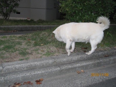 f:id:akamac:20101108170631j:image f:id:akamac:20101108170631j:image