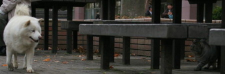 f:id:akamac:20110121213916j:image