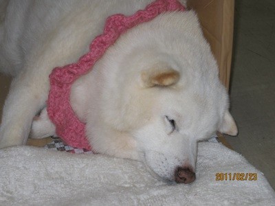f:id:akamac:20110223120610j:image