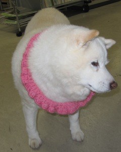 f:id:akamac:20110304165207j:image