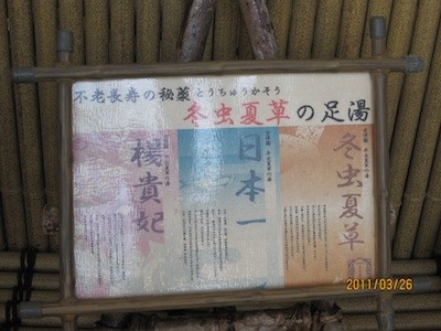 f:id:akamac:20110326135836j:image
