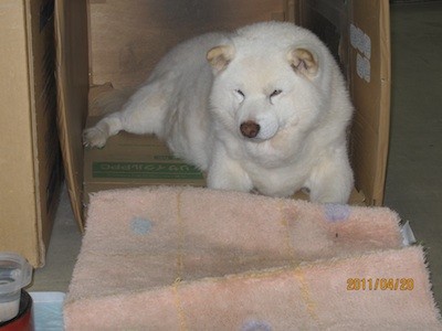 f:id:akamac:20110420155039j:image