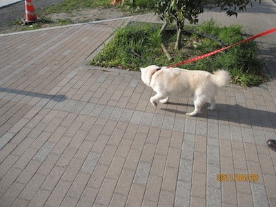 f:id:akamac:20110420165221j:image