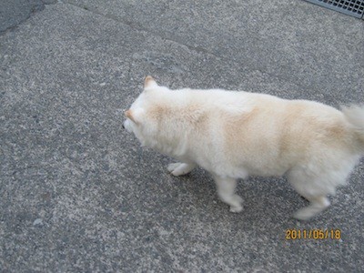 f:id:akamac:20110518172933j:image