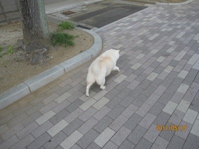 f:id:akamac:20110518173225j:image