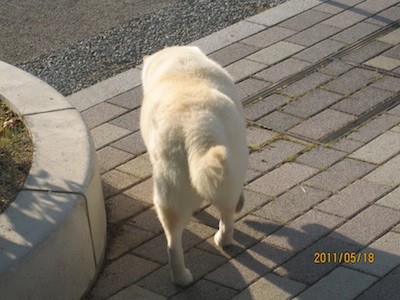 f:id:akamac:20110518173413j:image