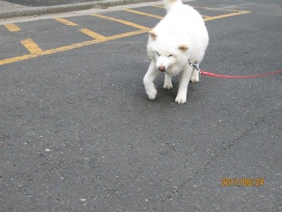 f:id:akamac:20110624170913j:image