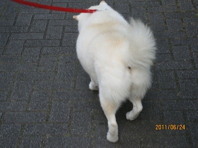 f:id:akamac:20110624171221j:image