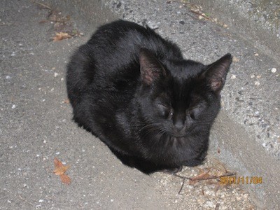 f:id:akamac:20111104170035j:image