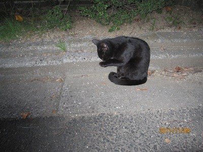 f:id:akamac:20111104170252j:image