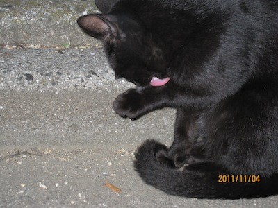 f:id:akamac:20111104170312j:image