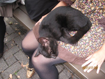 f:id:akamac:20111107153448j:image f:id:akamac:20111107153448j:image
