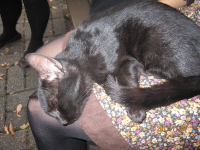 f:id:akamac:20111107153530j:image f:id:akamac:20111107153530j:image