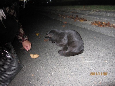 f:id:akamac:20111107180237j:image f:id:akamac:20111107180237j:image