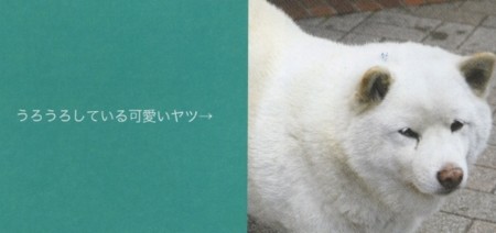 f:id:akamac:20120126233747j:image