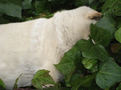 f:id:akamac:20120307224018j:image