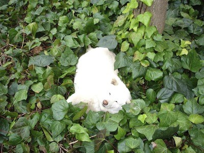 f:id:akamac:20120307224020j:image