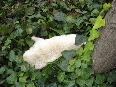 f:id:akamac:20120307224022j:image