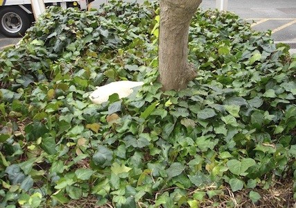 f:id:akamac:20120307224023j:image
