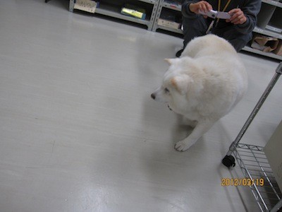 f:id:akamac:20120319173706j:image